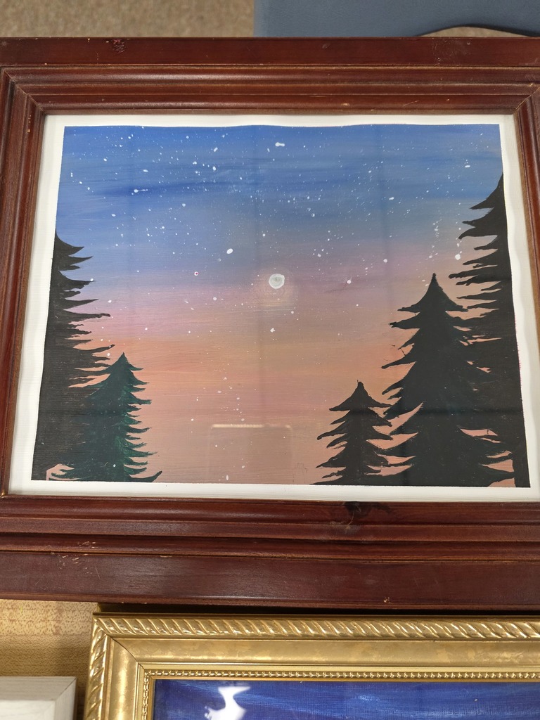 pine trees night sky