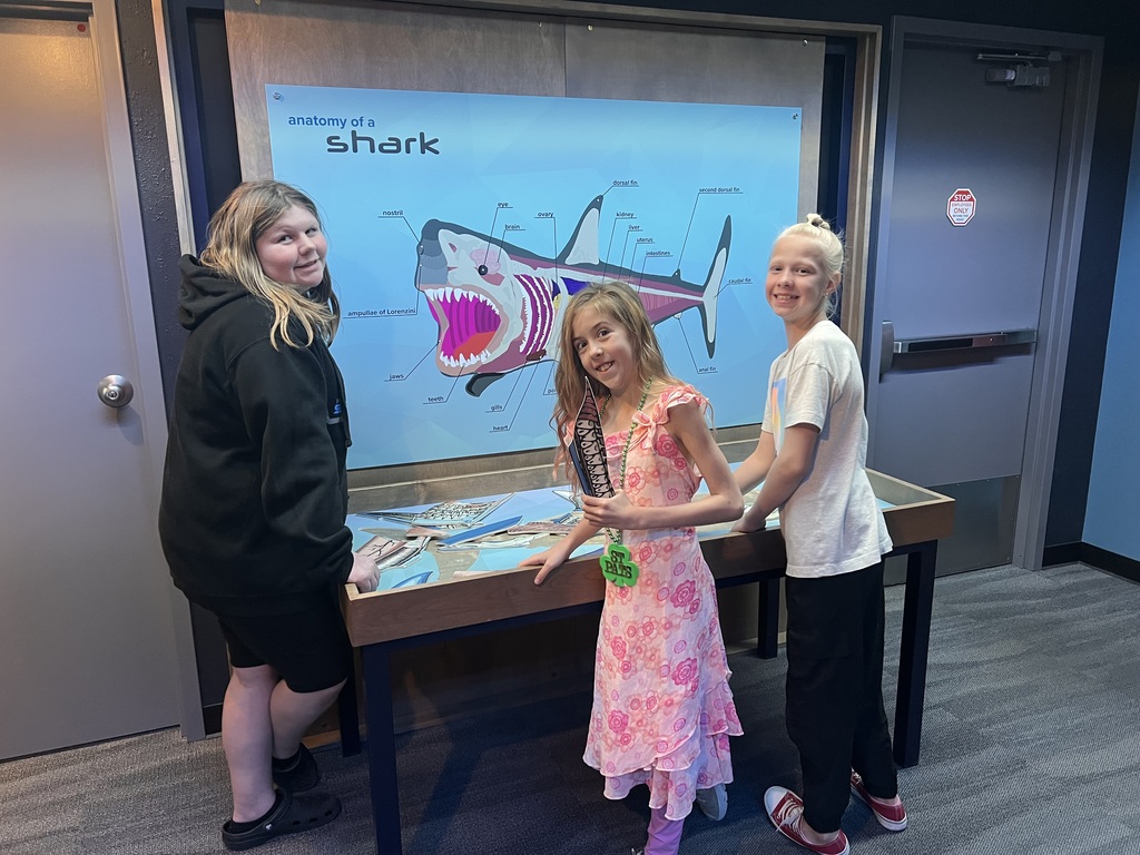 students at shark disply