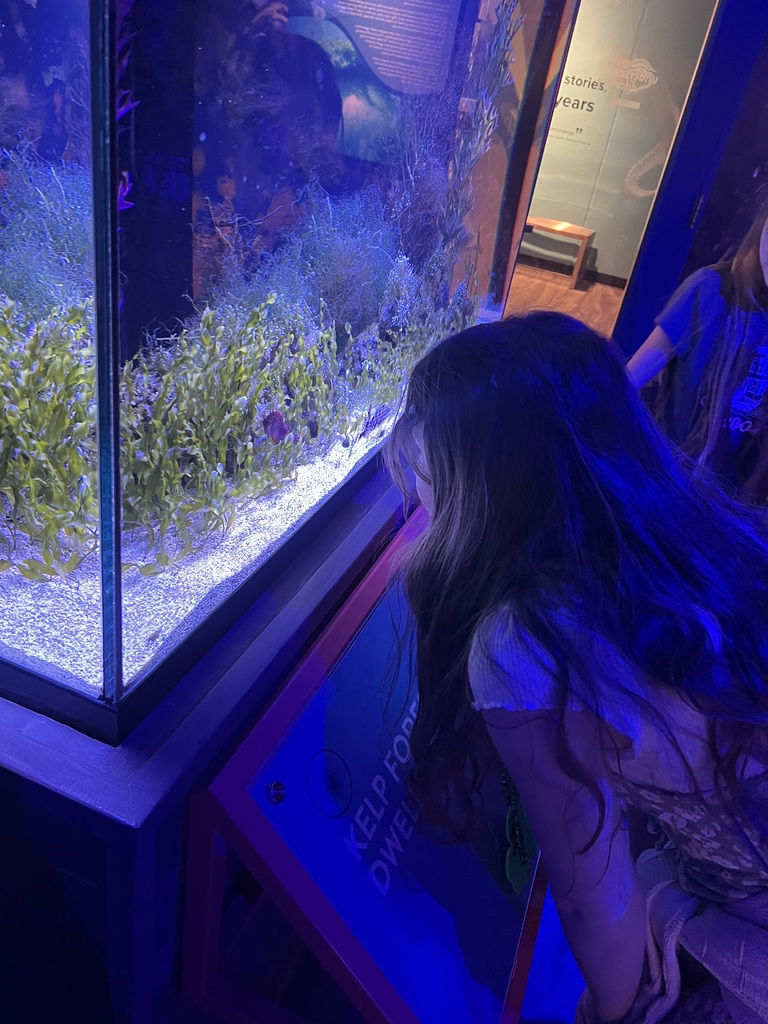 aquarium