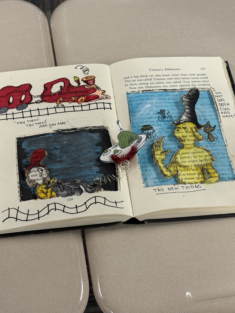 Altered book project