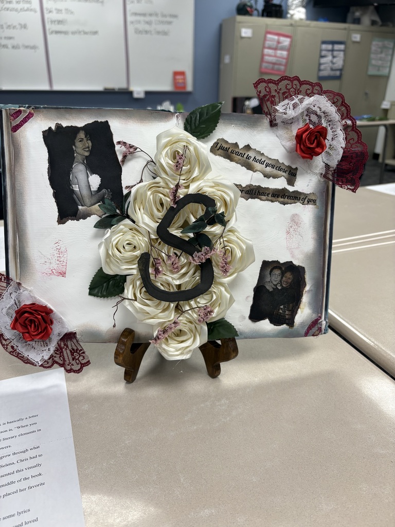 altered book project