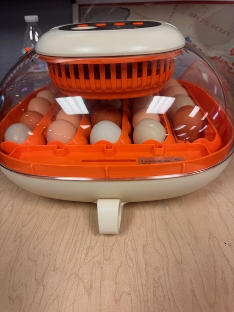 incubator
