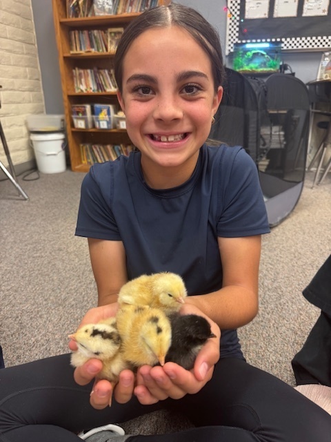 student holding chicks