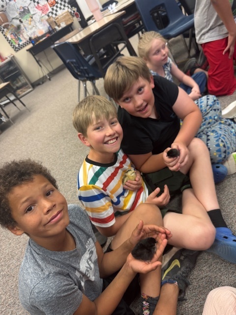 students holding chicks