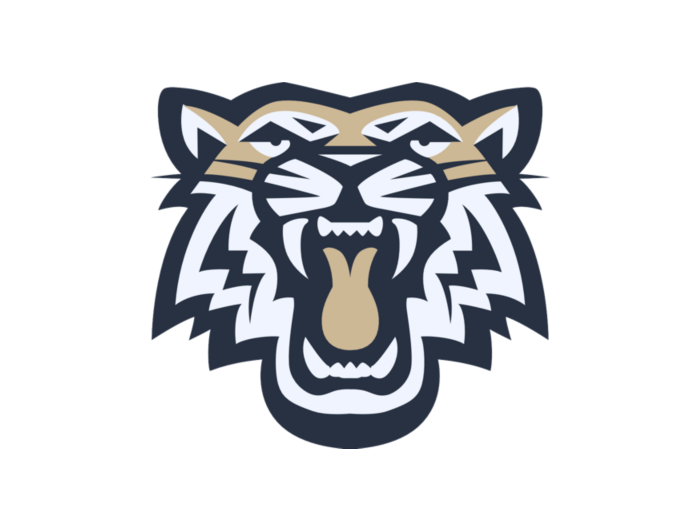 St. David Tigers