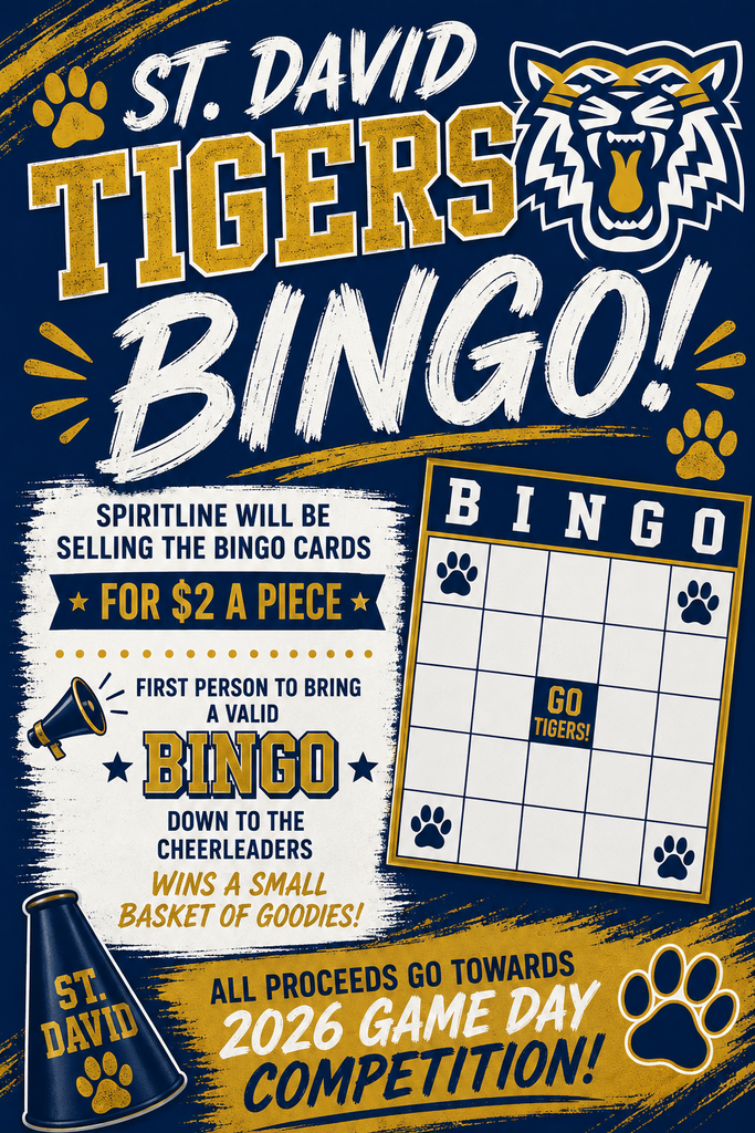 Tigers Bingo Cards Fundraiser