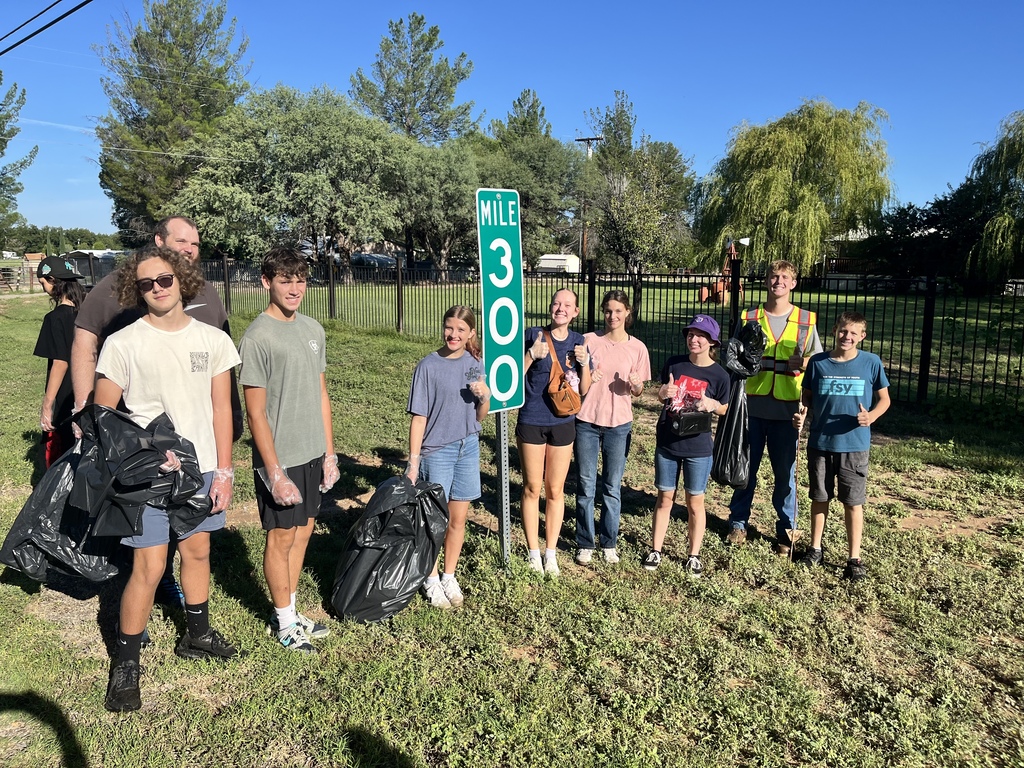 highway cleanup project