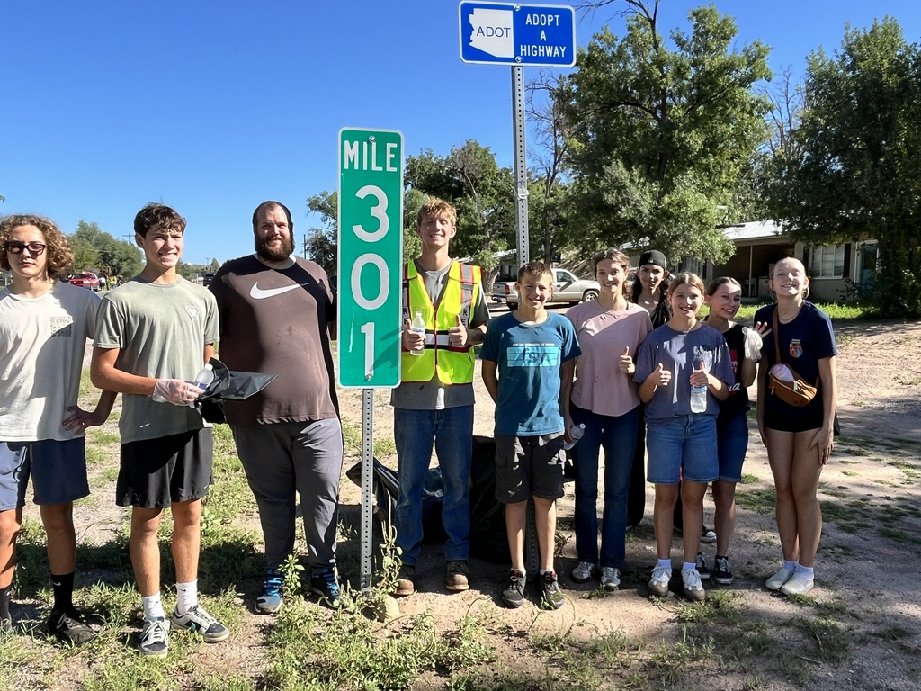 highway cleanup project