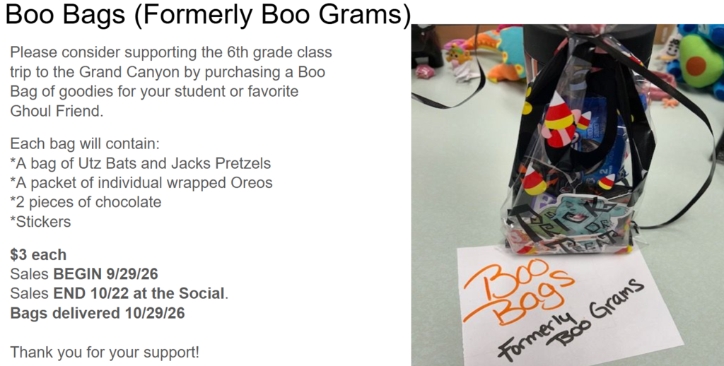 Boo Bags Fundraiser