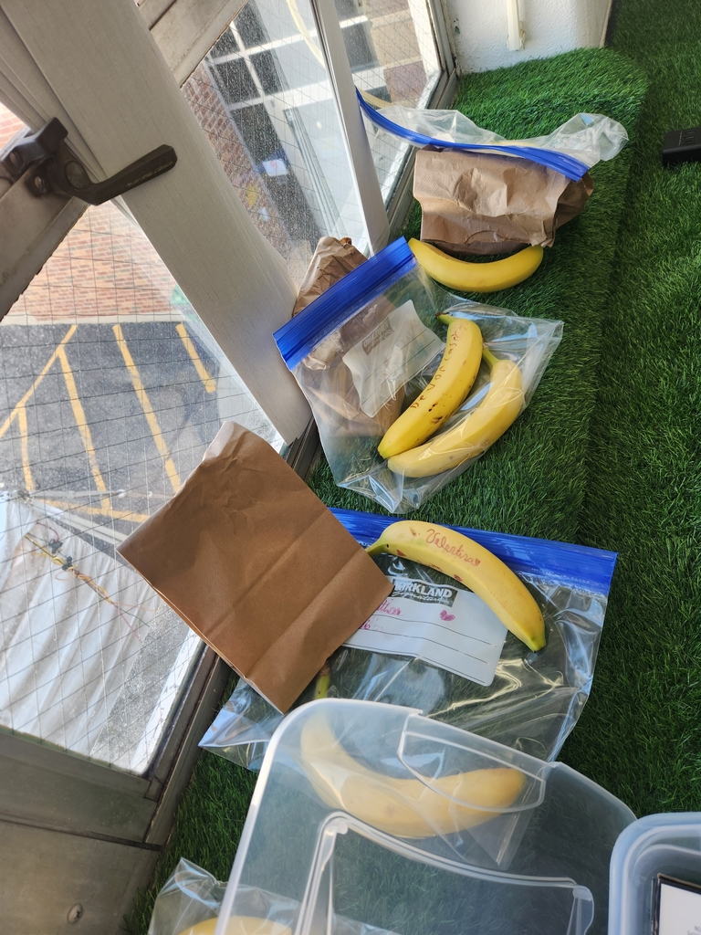 BANANAS!