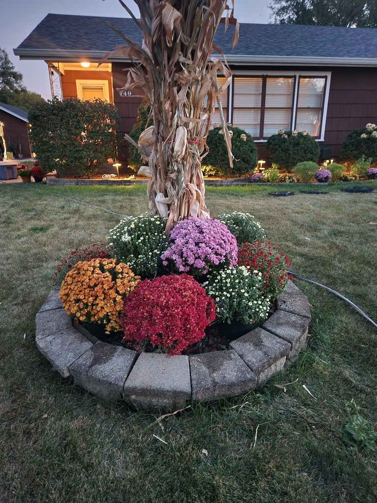 a touch of fall