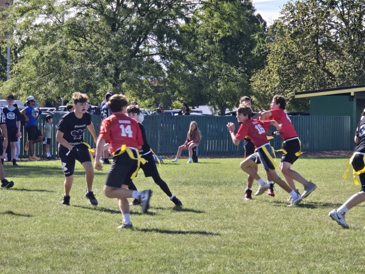 🏈