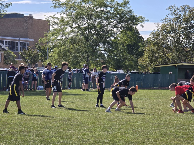 🏈