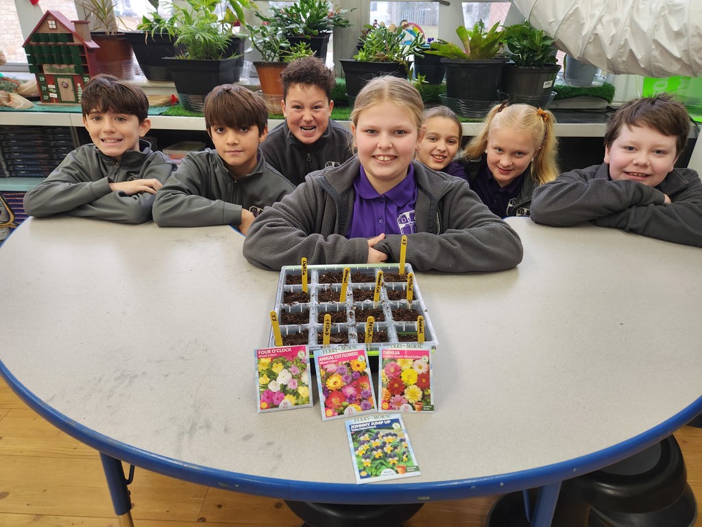 5th grade still learning how to grow.