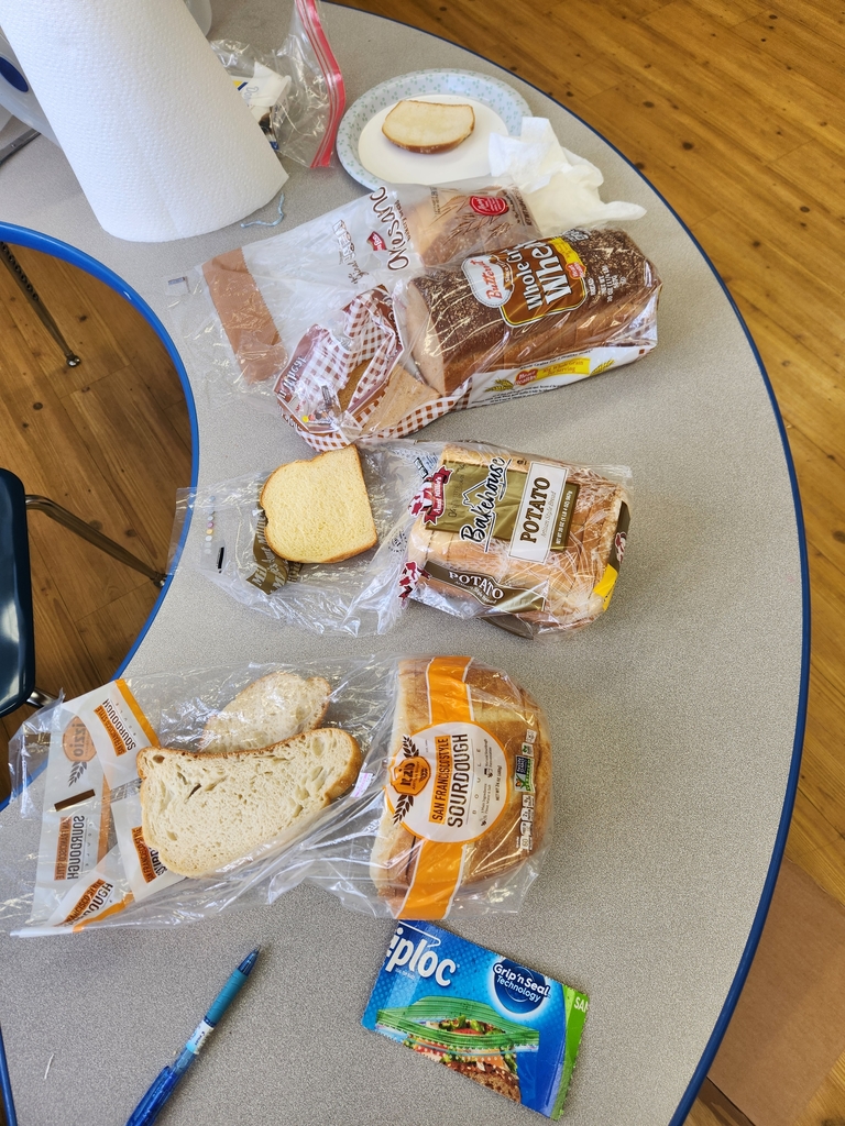 5th grade bread experiment