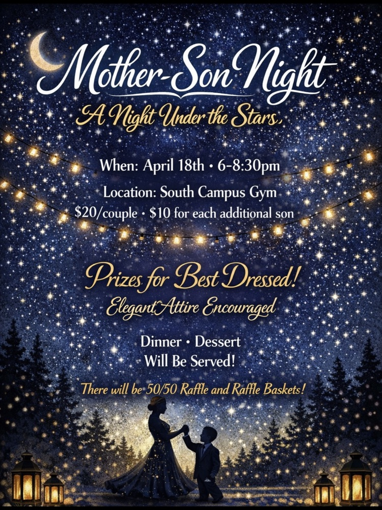 🌟 A Night Under the Stars🌟