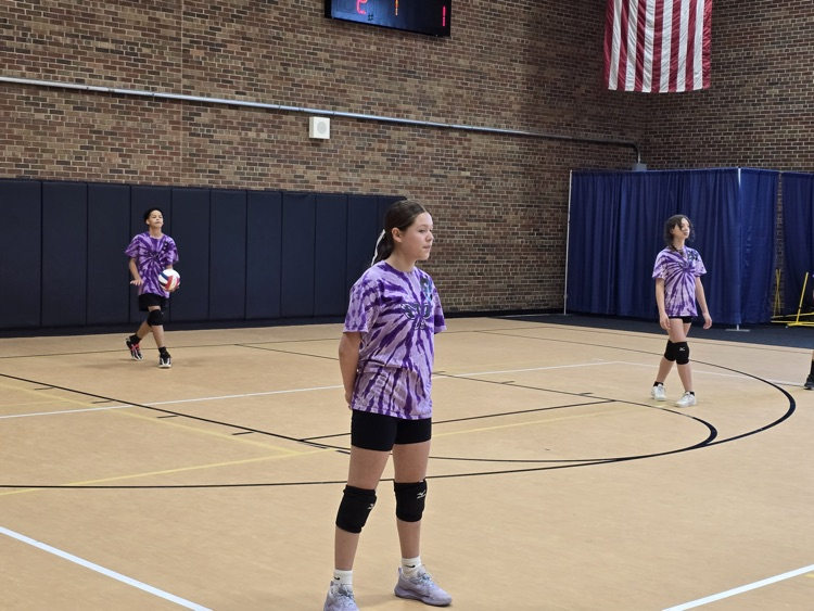 vb
