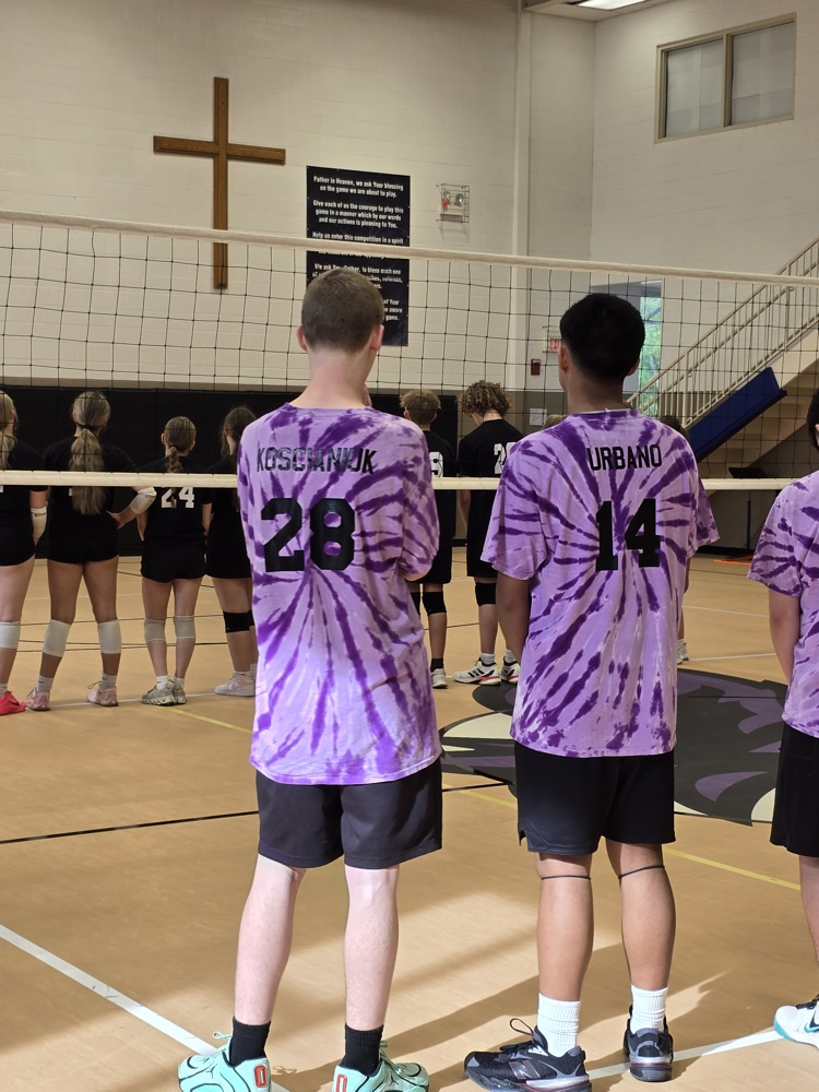 vb