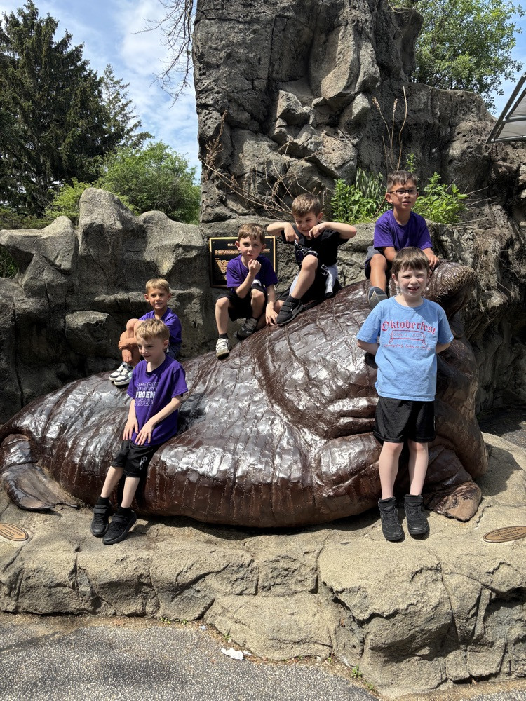 zoo