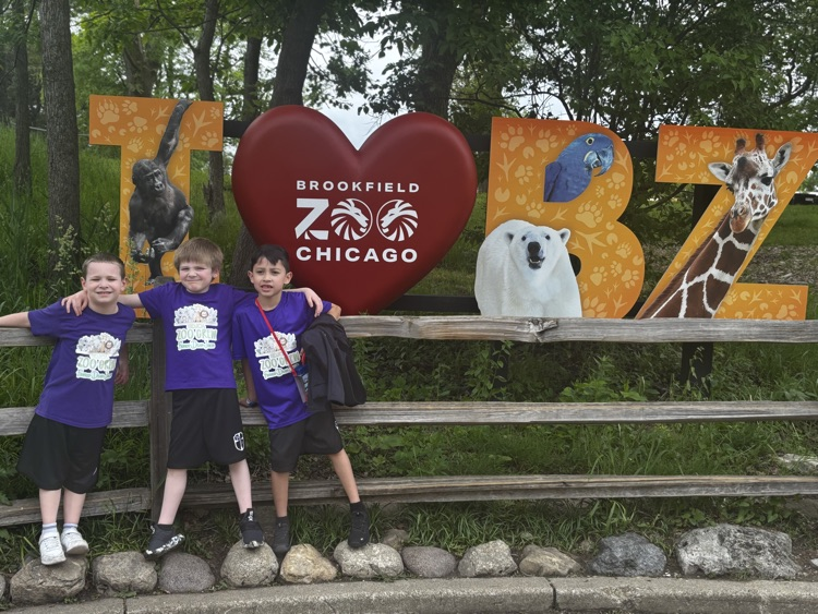 zoo zoo