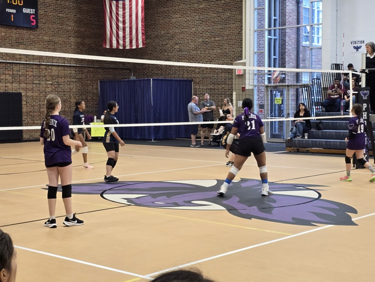vb