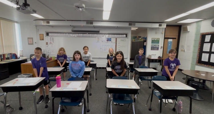 demonstrating transfer of energy in Newton’s Cradle