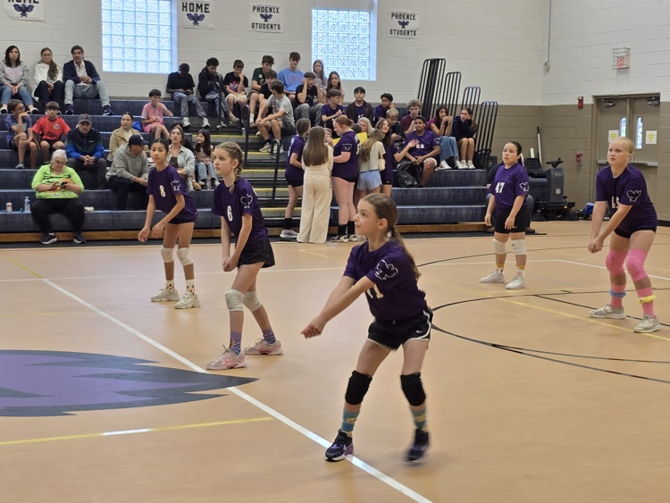 vb