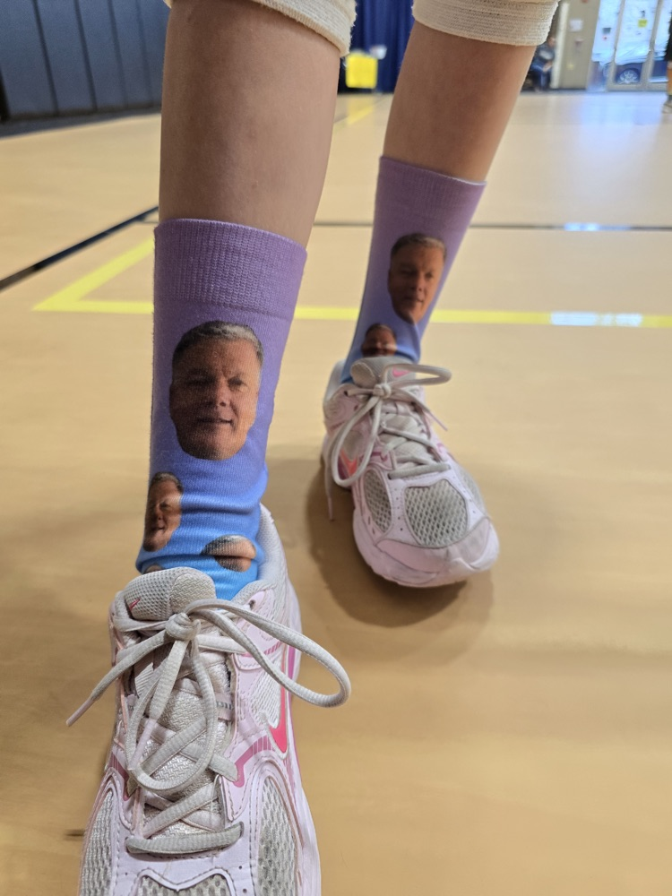 vb
