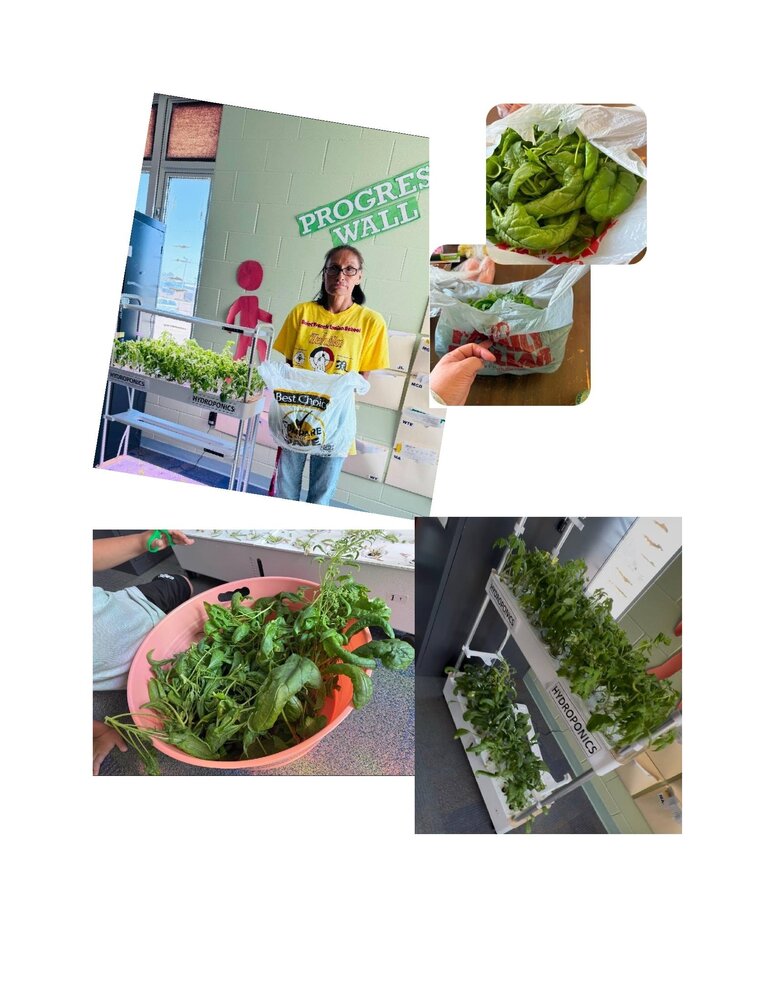 Hydroponics