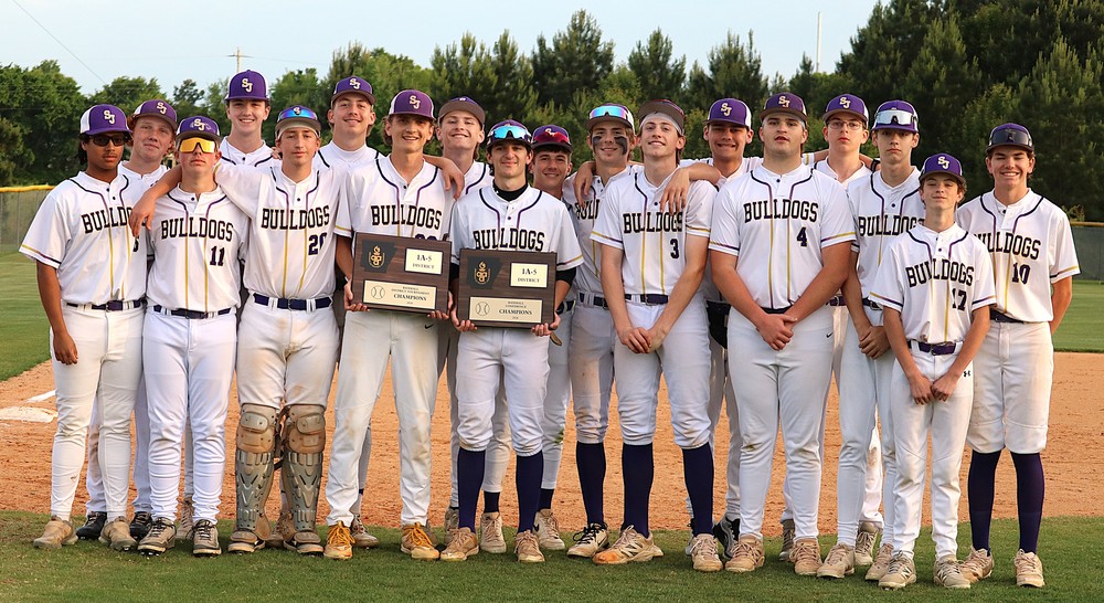 Baseball Champions 