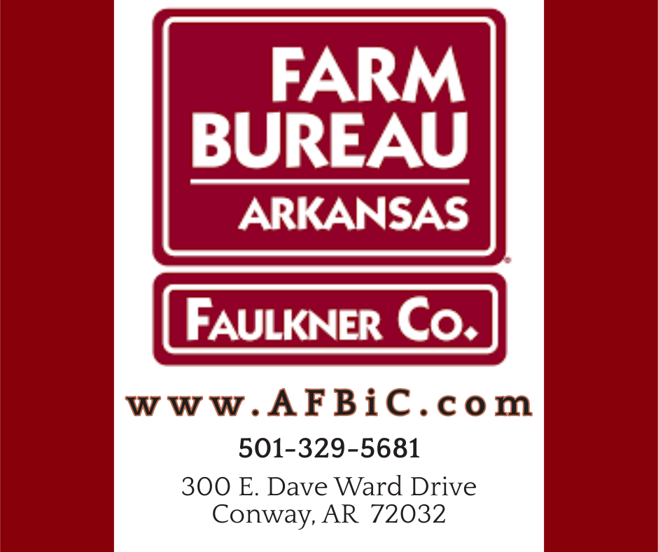 community partnership