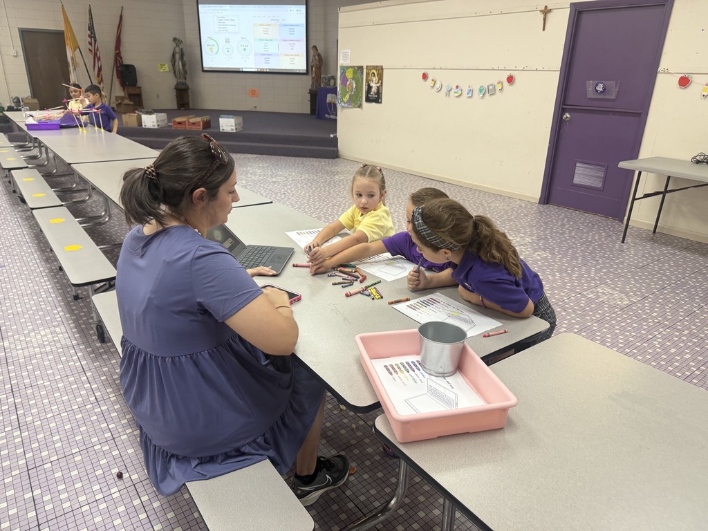 SJS STEM Activities