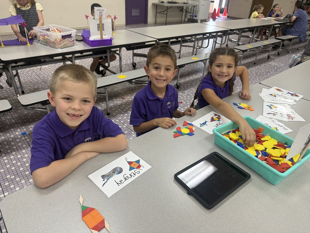 SJS STEM Activities