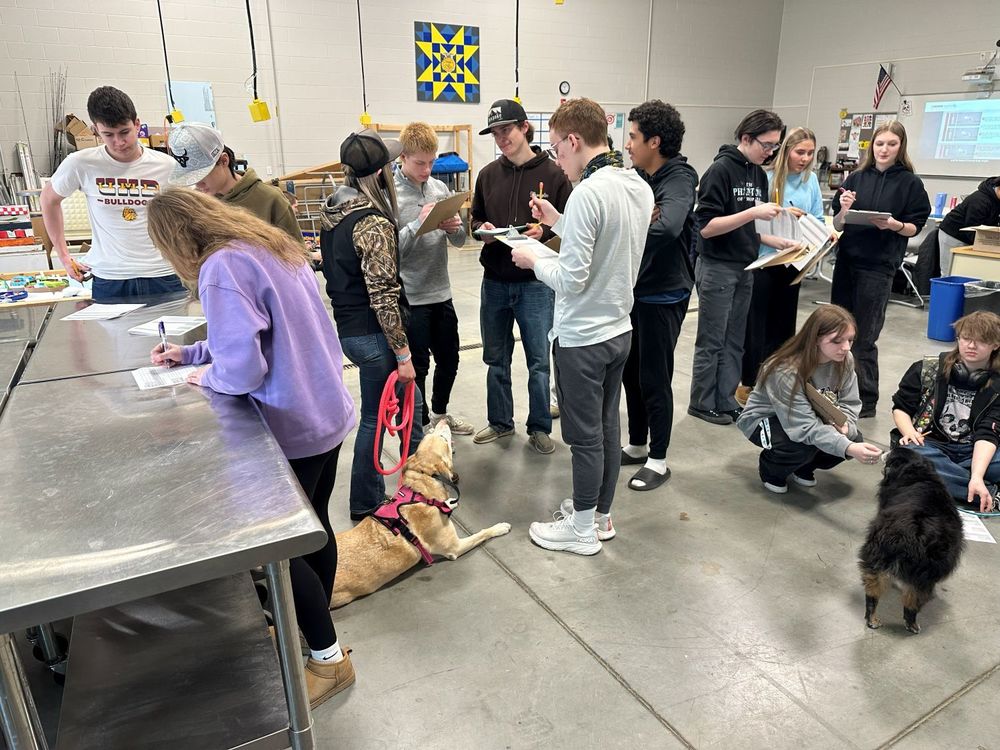 SPHS animal science class working with dogs.