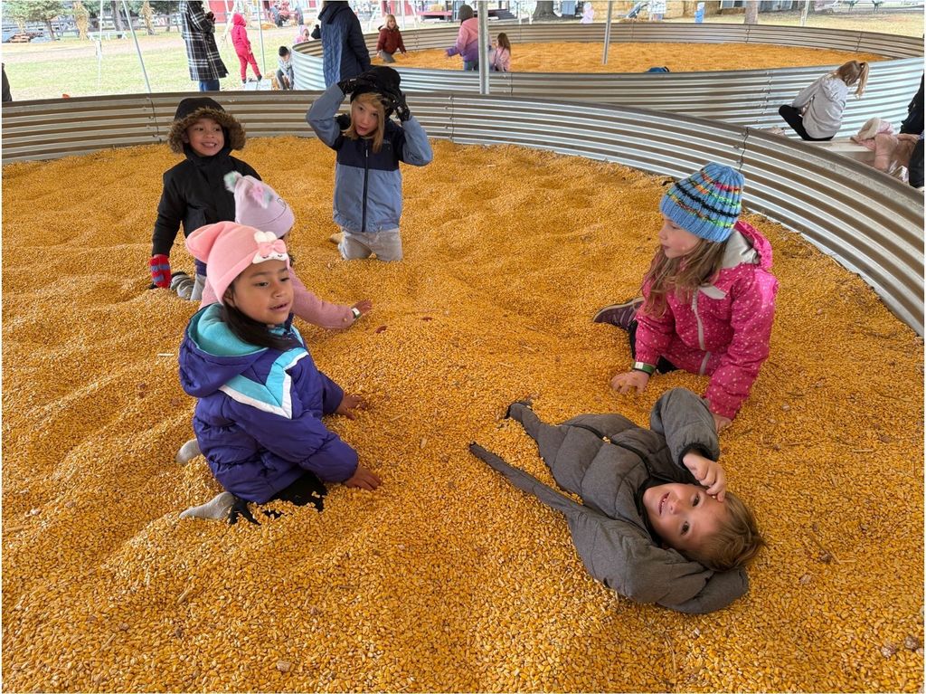 South first graders at Ferguson's Apple Orchard