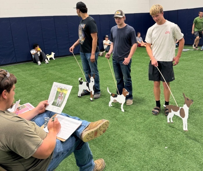 SPHS Dog Show 2026