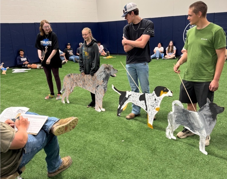 SPHS Dog Show 2026