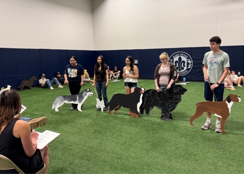 SPHS Dog Show 2026