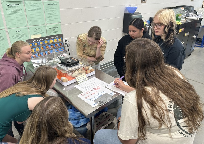 Chicks hatching during SPHS animal science class