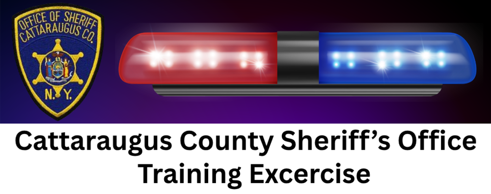CCSO Training