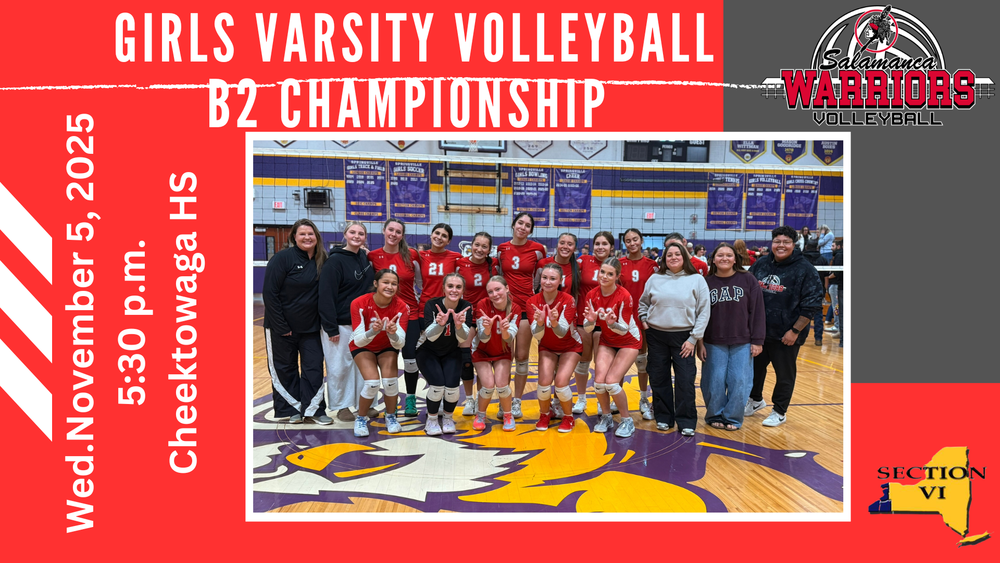 Volleyball Championship Game