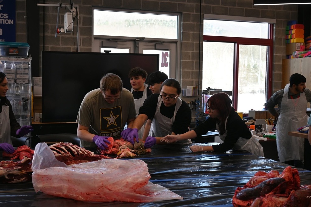 Deer processing 2025