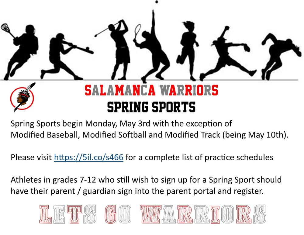 Spring Sports Flyer