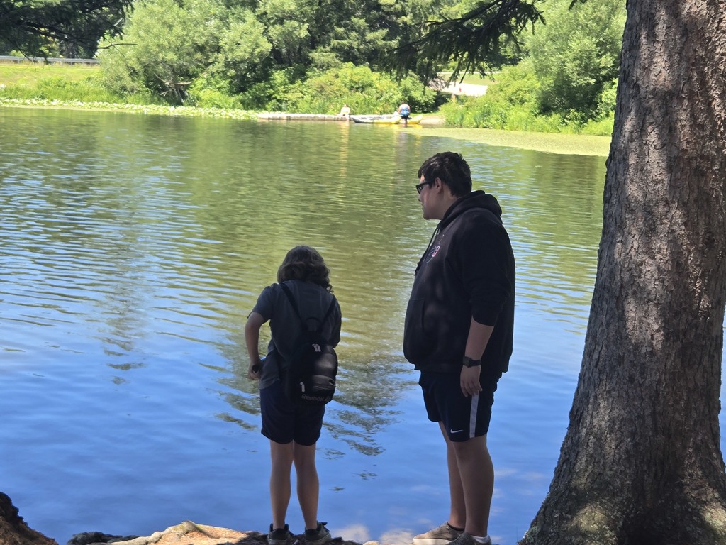 SUmmer STEAM Week 3