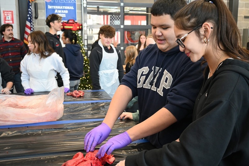 Deer processing 2025