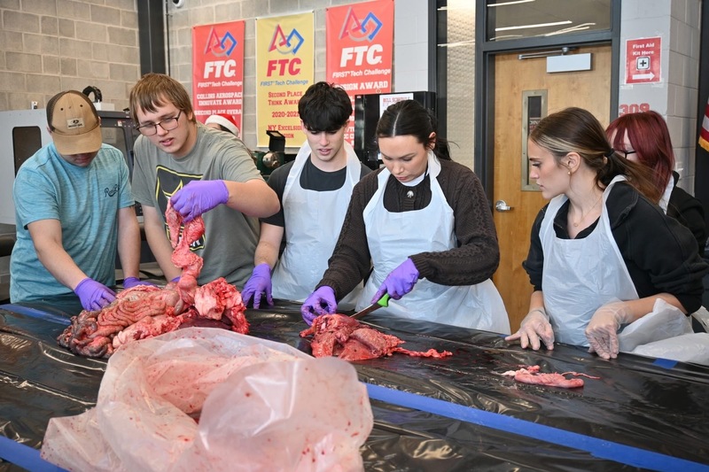 Deer processing 2025