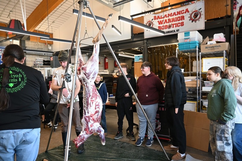 Deer processing 2025