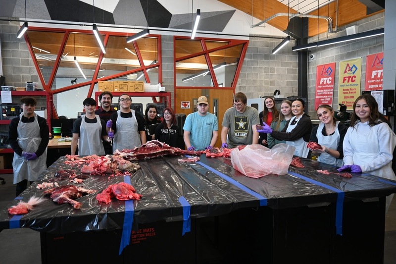 Deer processing 2025