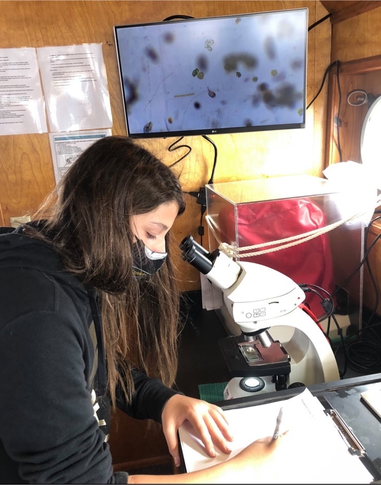 student analyzes data under microscope οΏΌ