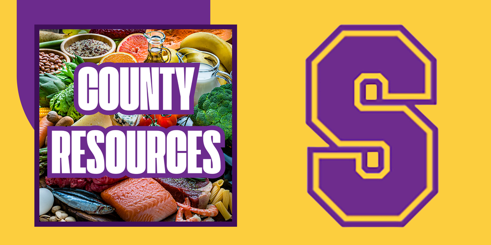 cover photo for web story